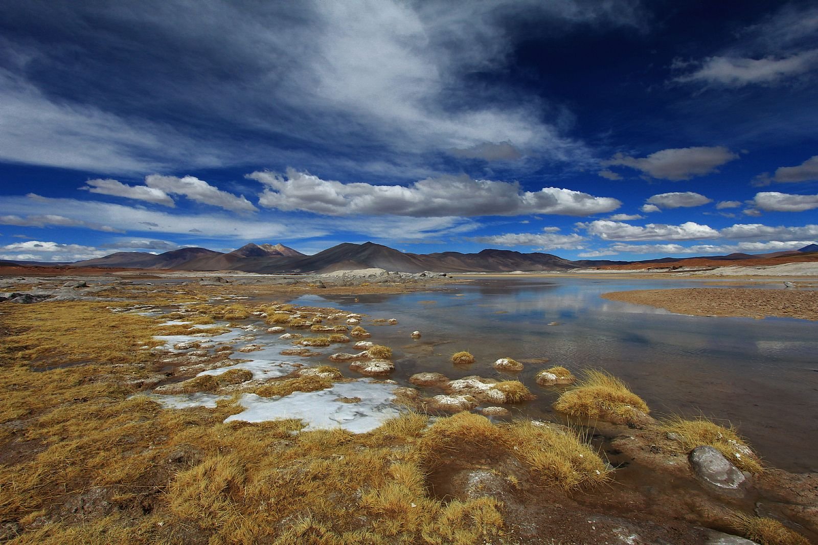 🦩 Piedras Rojas & Laguna chaxa full day - Imagen 3