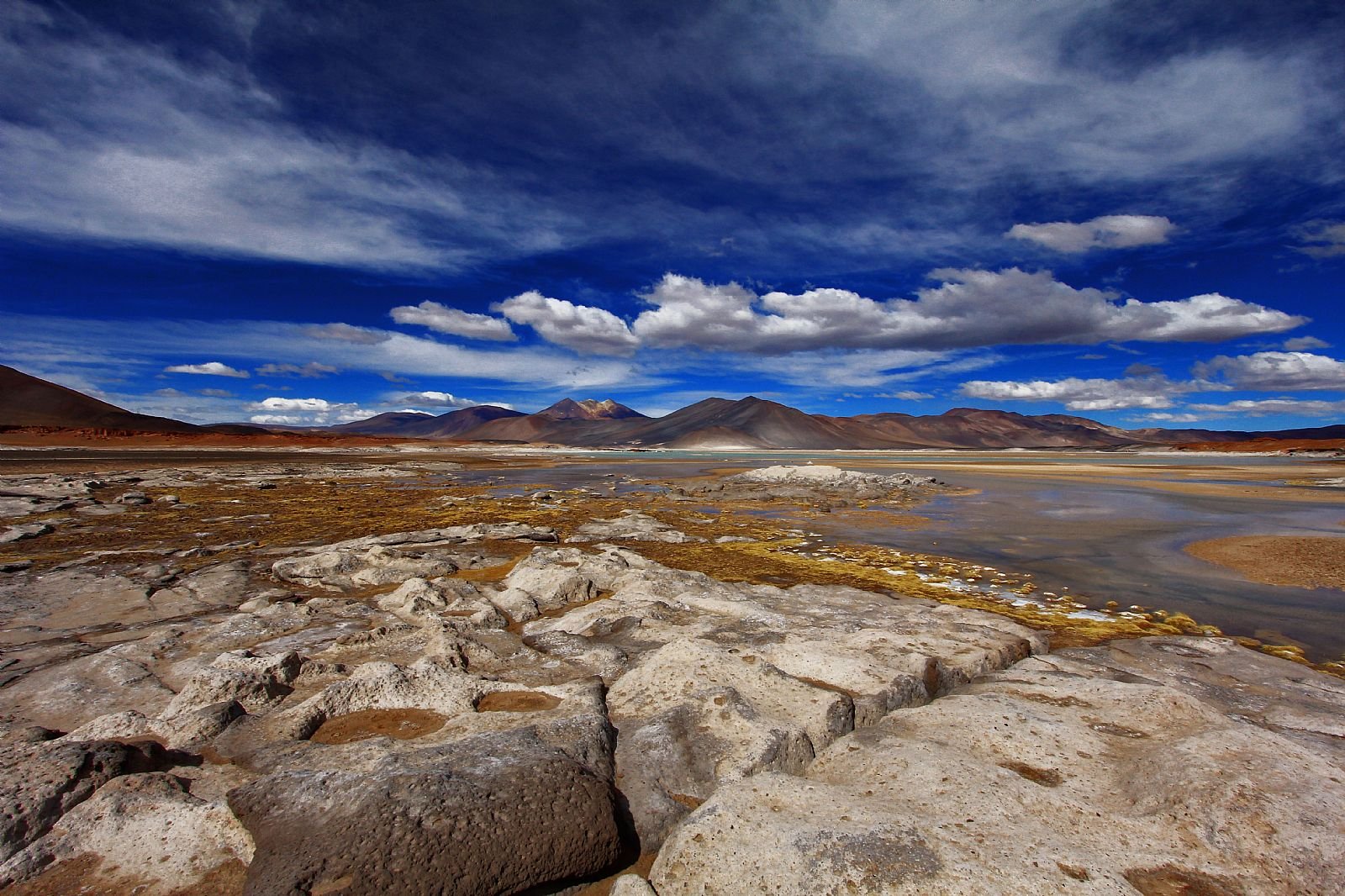 🦩 Piedras Rojas & Laguna chaxa full day - Imagen 4