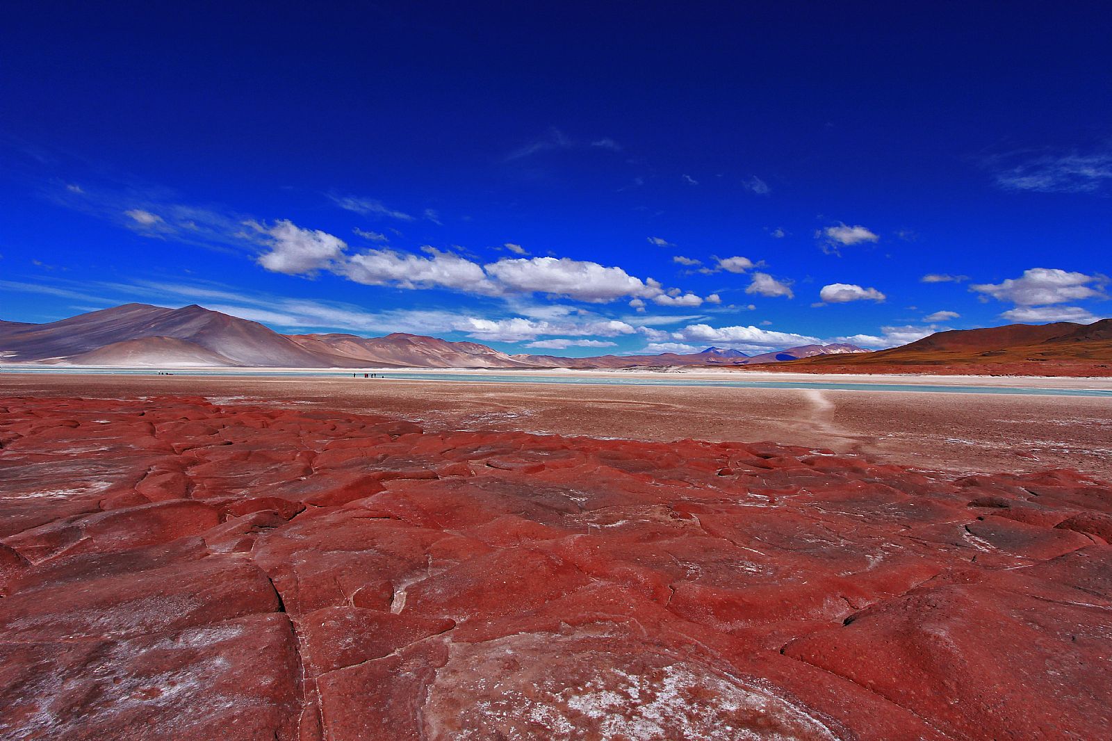 🦩 Piedras Rojas & Laguna chaxa full day - Imagen 2