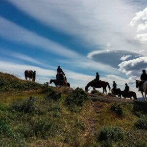 Cabalgata torres del Paine 🐎