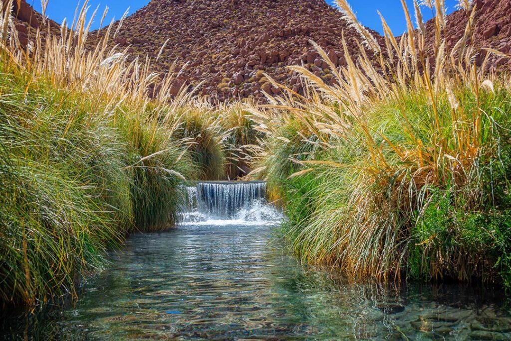Traslado a termas puritama ♨️ - Imagen 3