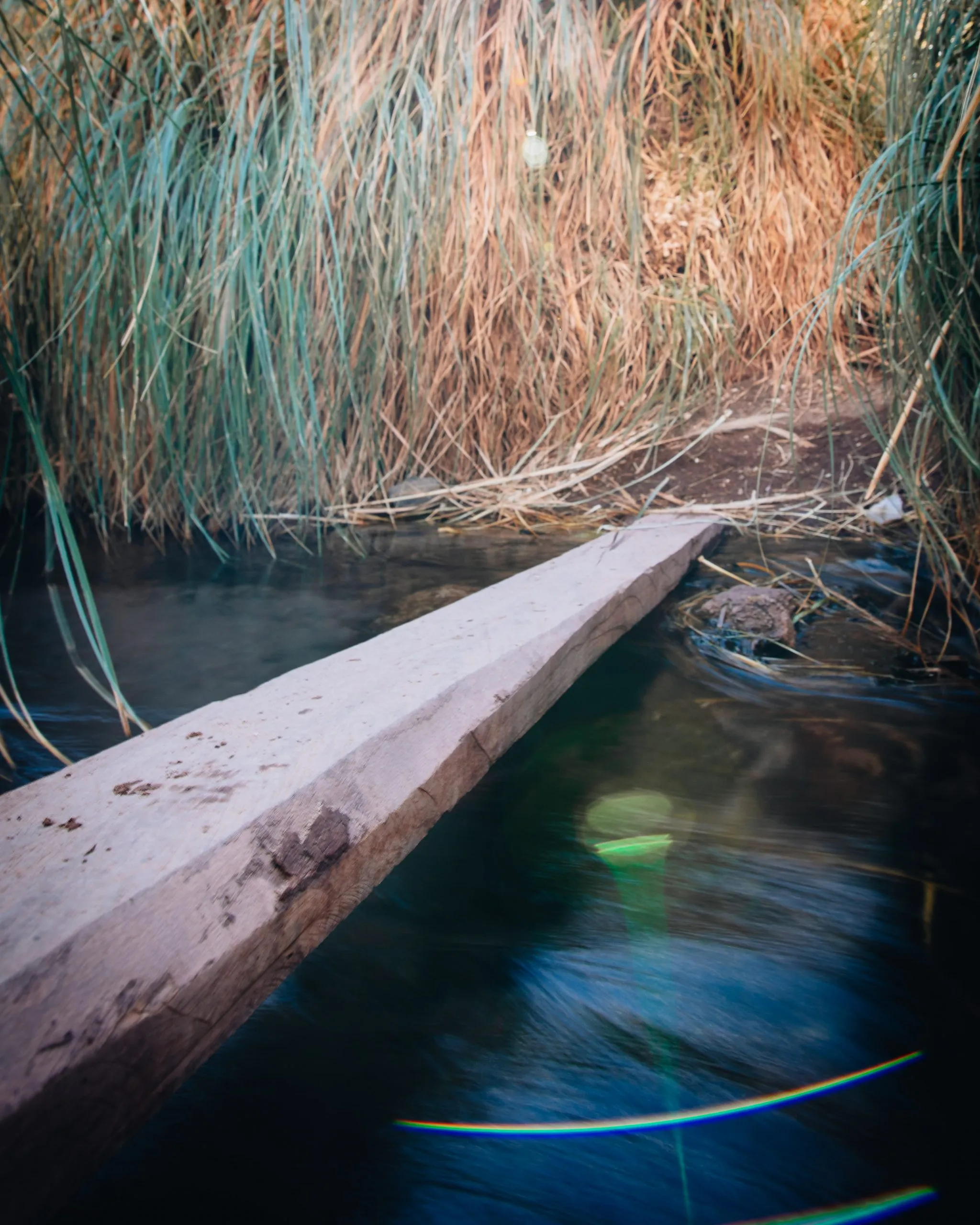 Trekking Termas de Purilibre 🏜️ - Imagen 4