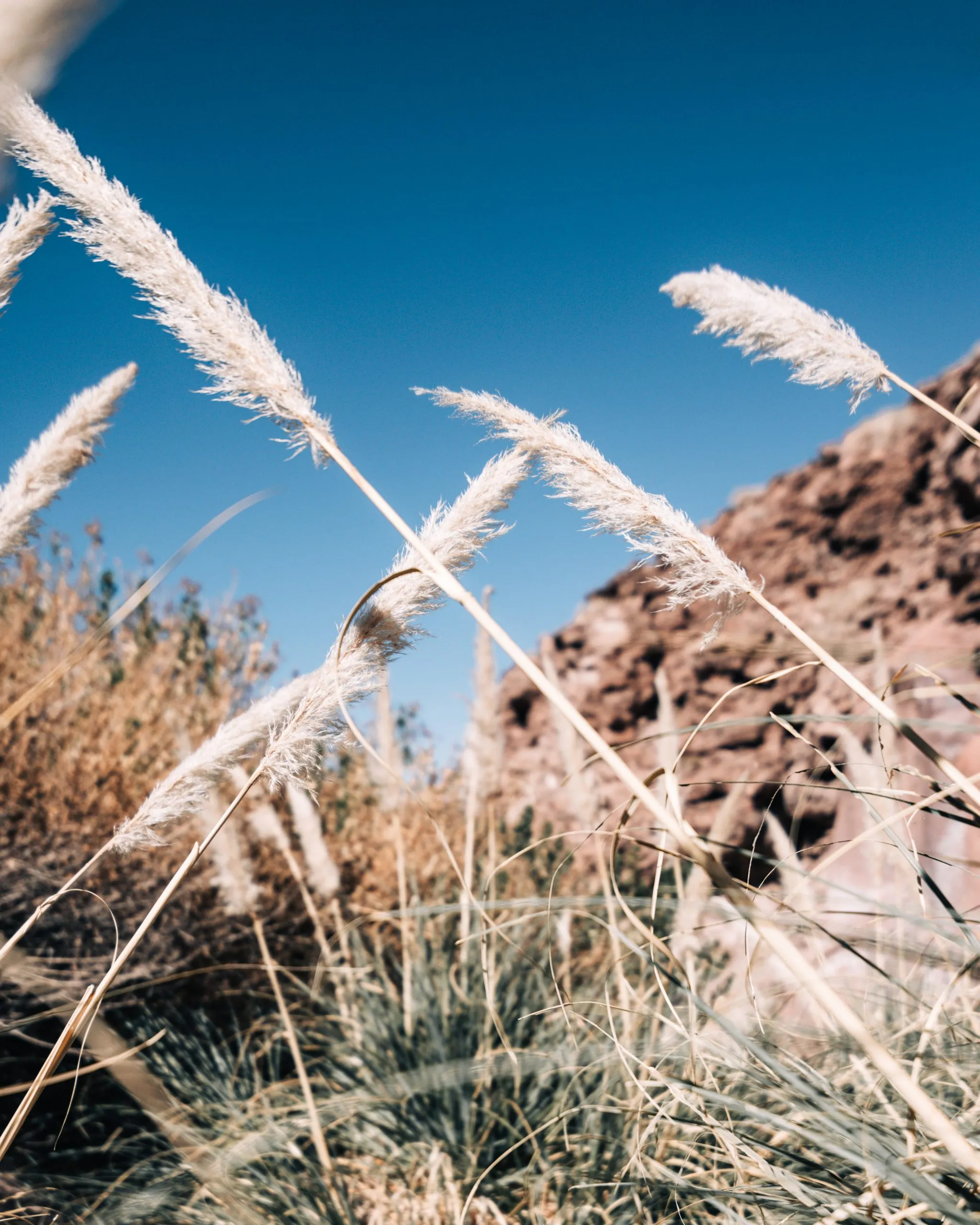 Trekking Termas de Purilibre 🏜️ - Imagen 3