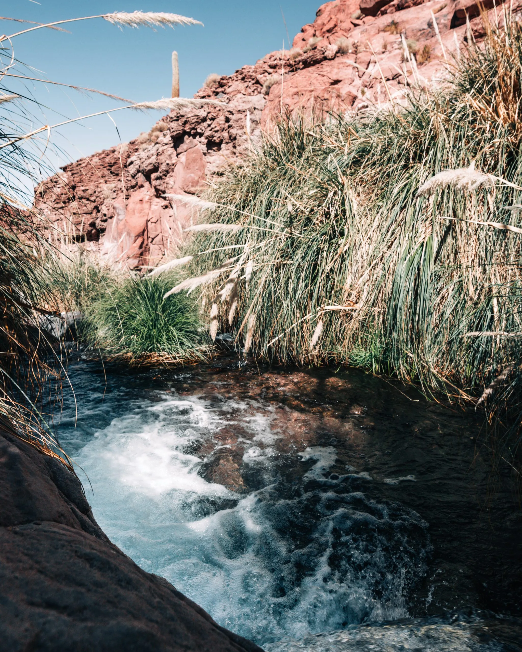 Trekking Termas de Purilibre 🏜️ - Imagen 2