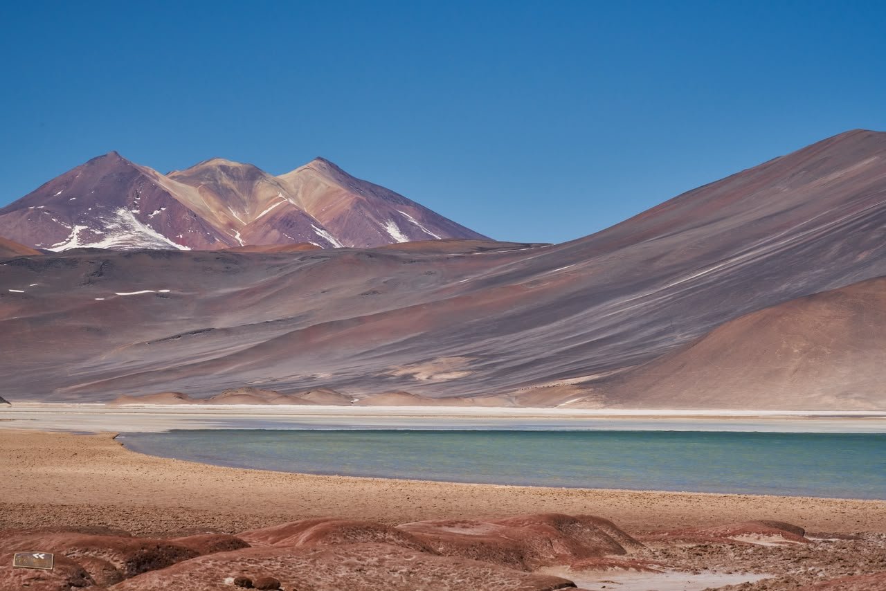 🦩 Piedras Rojas & Laguna chaxa full day - Imagen 6