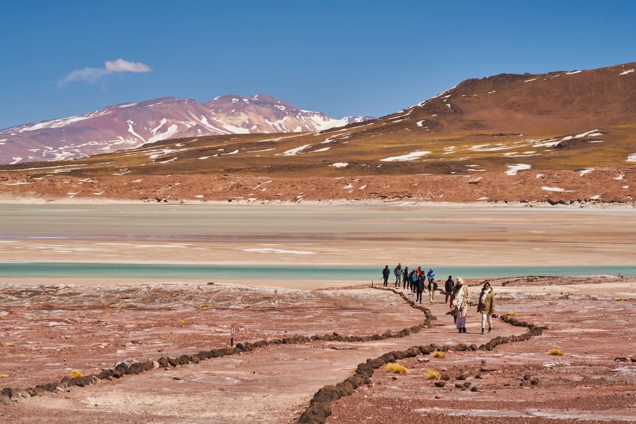 🦩 Piedras Rojas & Laguna chaxa full day - Imagen 7