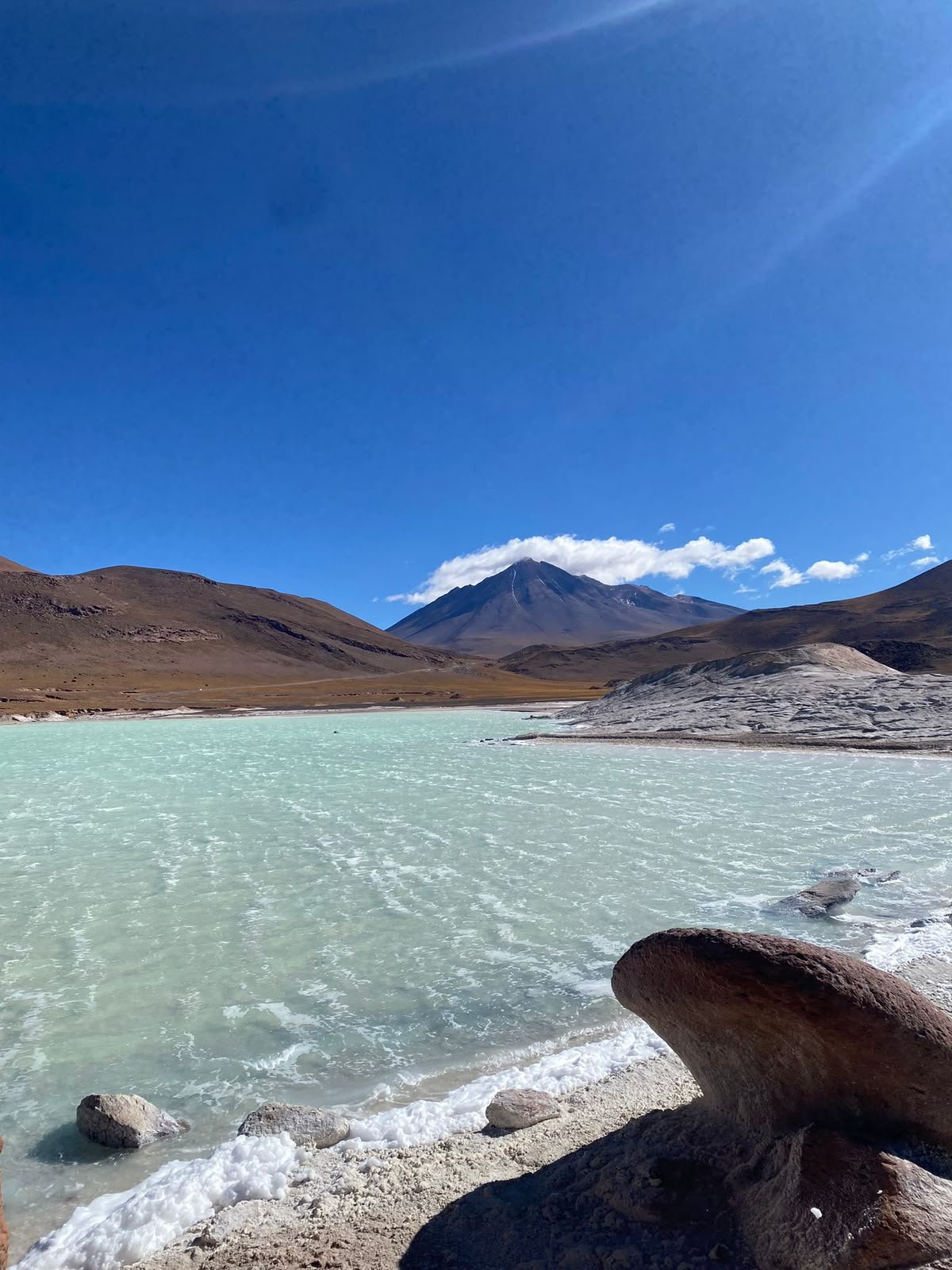 🦩 Piedras Rojas & Laguna chaxa full day - Imagen 8